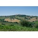 Search_OLD FARMHOUSE WITH SEA VIEW FOR SALE IN LE MARCHE Country house to restore with panoramic view in central Italy in Le Marche_19